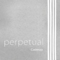 PERPETUAL CELLO CADENZA 1